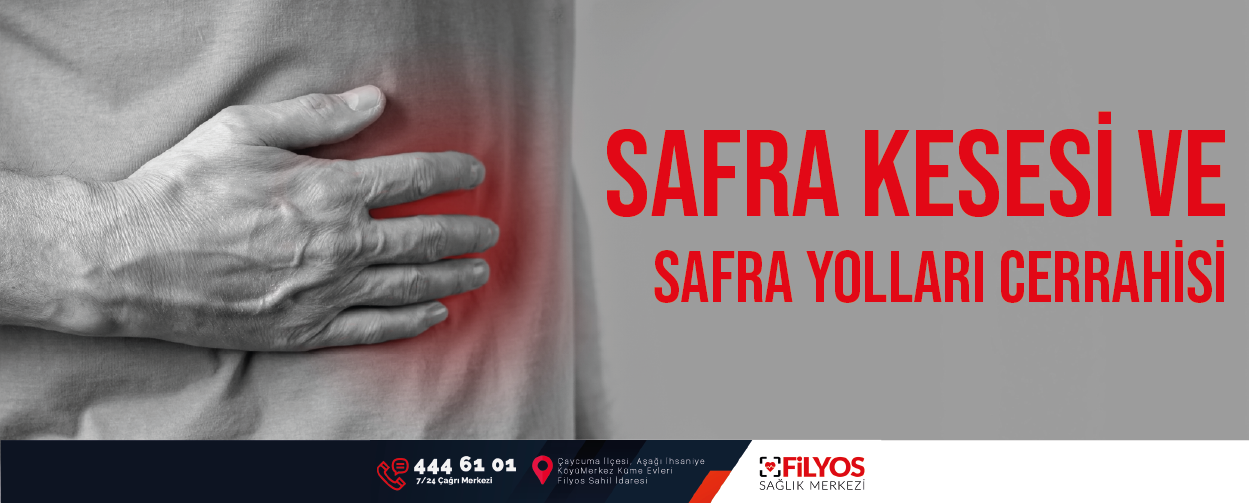 Safra Kesesi Ve Safra Yolları Cerrahisi – Filyos Sağlık Merkezi