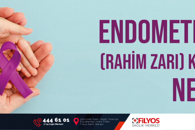 Endometrium (Rahim Zarı) Kanseri Nedir?